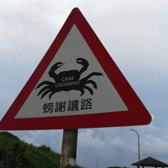 Crab crossing