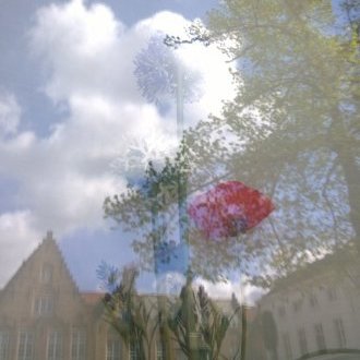 Sous l'ombre d'une capeline