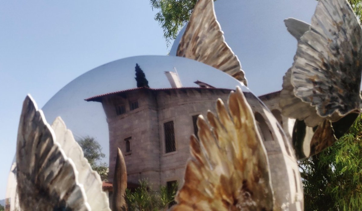 Complexion sourcilleuse