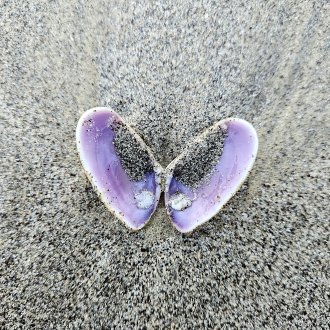 Le coeur aussi sait se taire