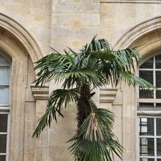 La part irréductible de l'incalculable