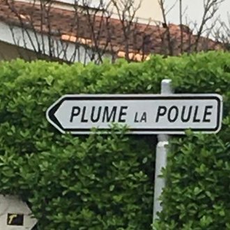 Plume la poule