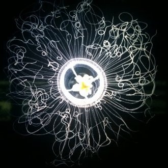 Persistance de la mémoire