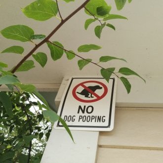 no dog pooping