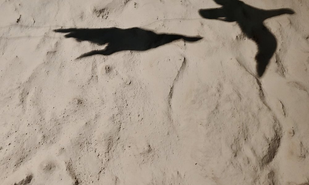 À travers le tulle des nuages