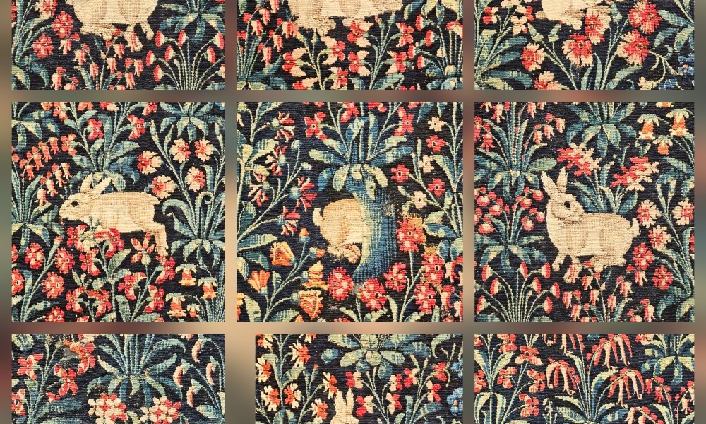Lapin de corridor
