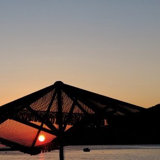 Donner d'heureux jours à l'étamine