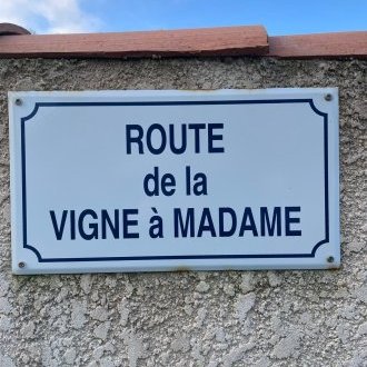 Route de la vigne à madame
