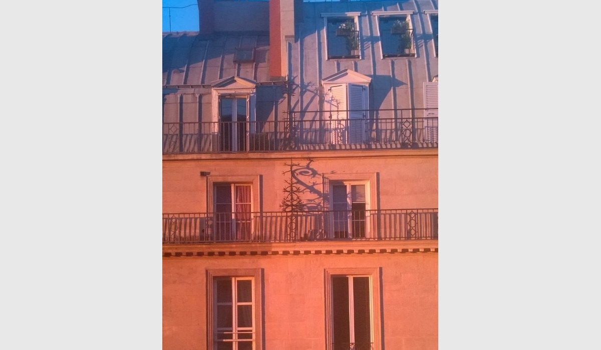 En chair et en os