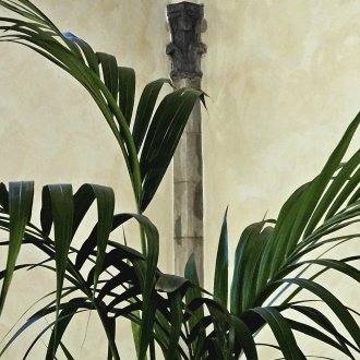 Détermination et humilité