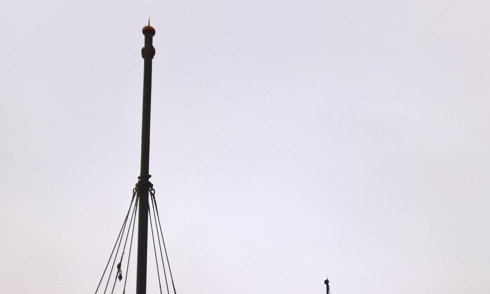 Le nez à l'affut du vent et du détail