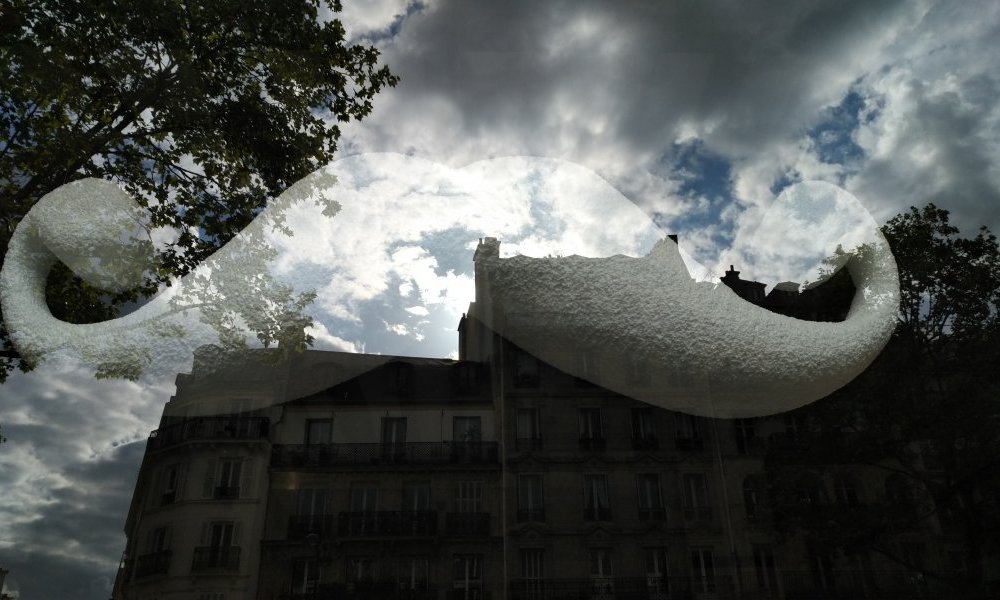 Big moustache