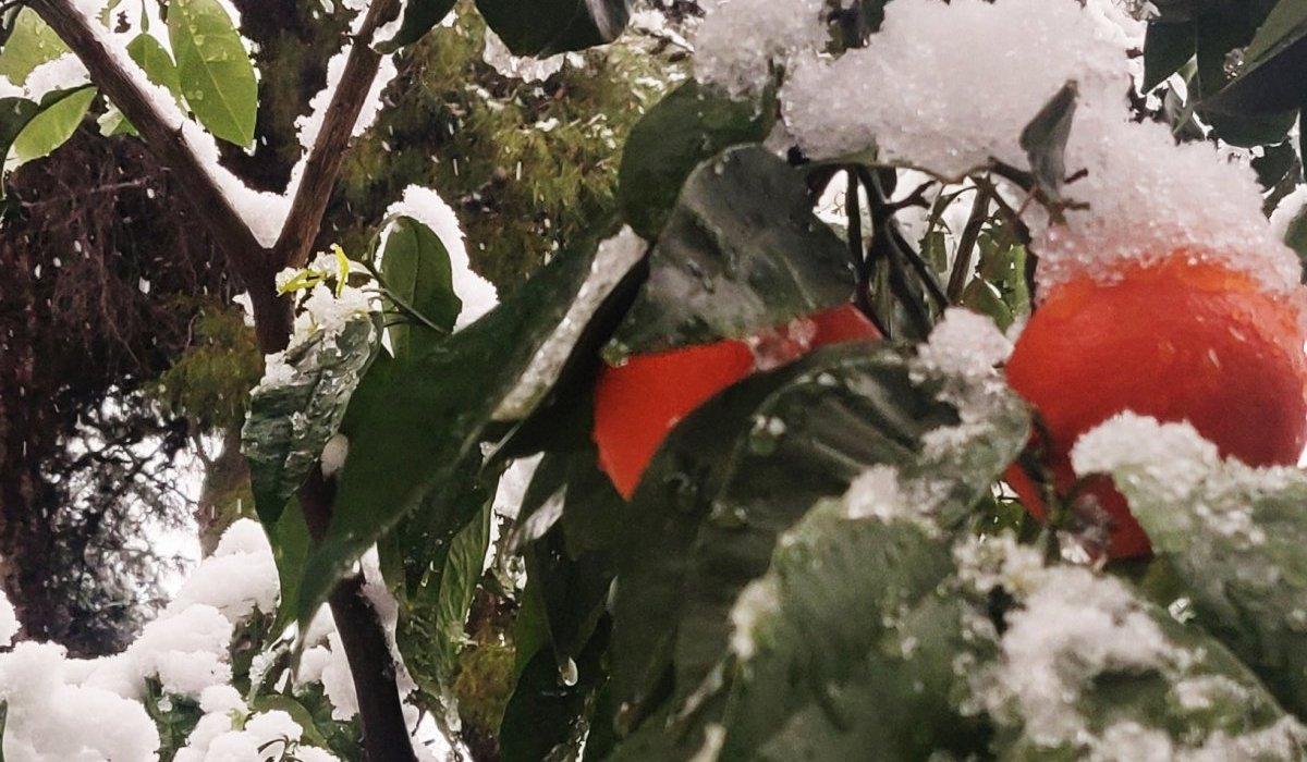 L'occasion était trop belle