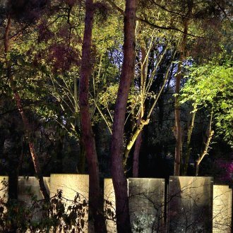 Motivations primitives