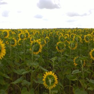 Zone de recueillement où s'affermissent les sensations éparses