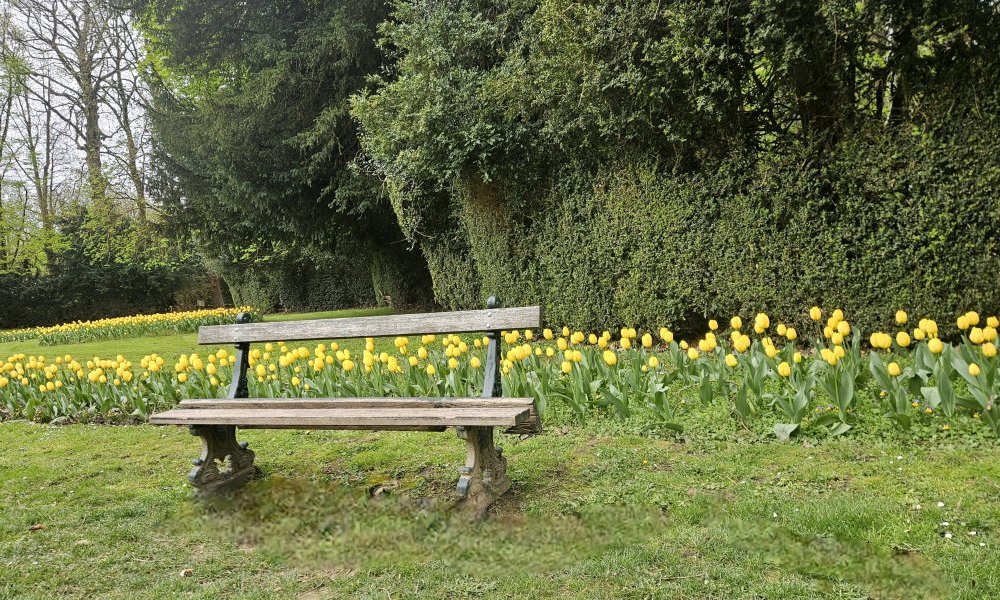 Ses jalousies, ses messes basses et ses rendez-vous secrets