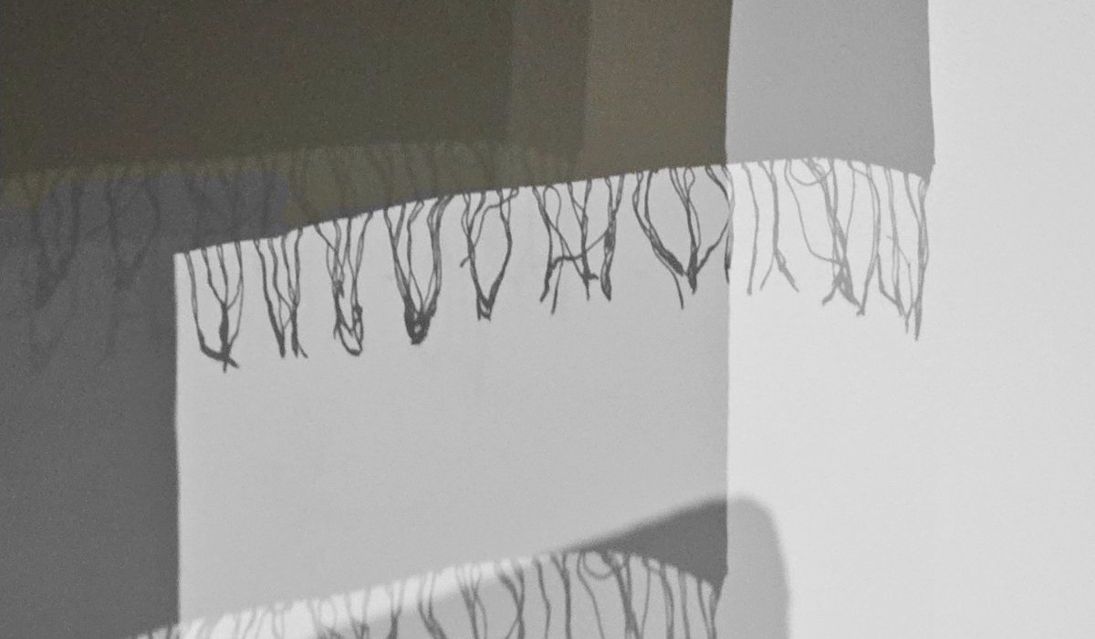 Acculé à la lumière