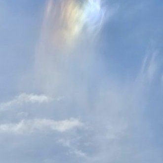 S'exercer à la gratitude