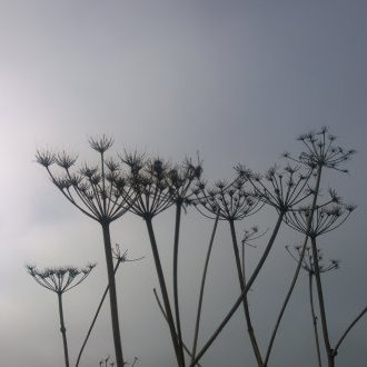 L'air de rien