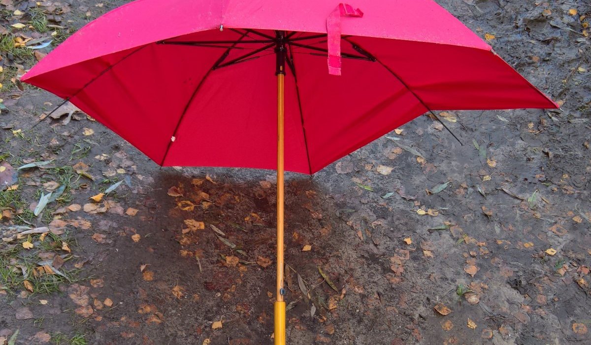 Racine, tige, feuille, fleur, fruit