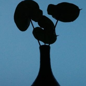 La tête ailleurs
