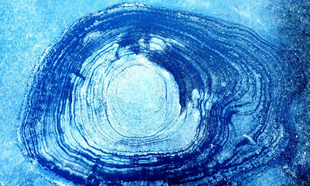 Dessillement des illusions