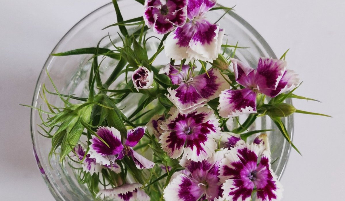 Et de cent autres superfluités périssables