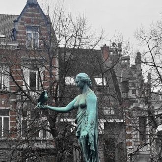 Tout a commencé par un rêve