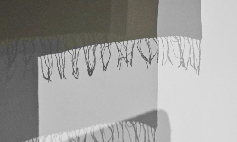 Acculé à la lumière