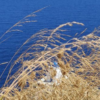 Tomber dans le paysage