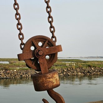 Le bruit du port et l'immuable cri des mouettes