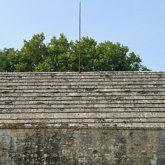 Phrénologie