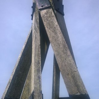 Frêle échancrure