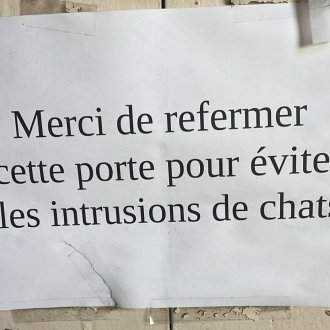 Éviter les intrusions de chats