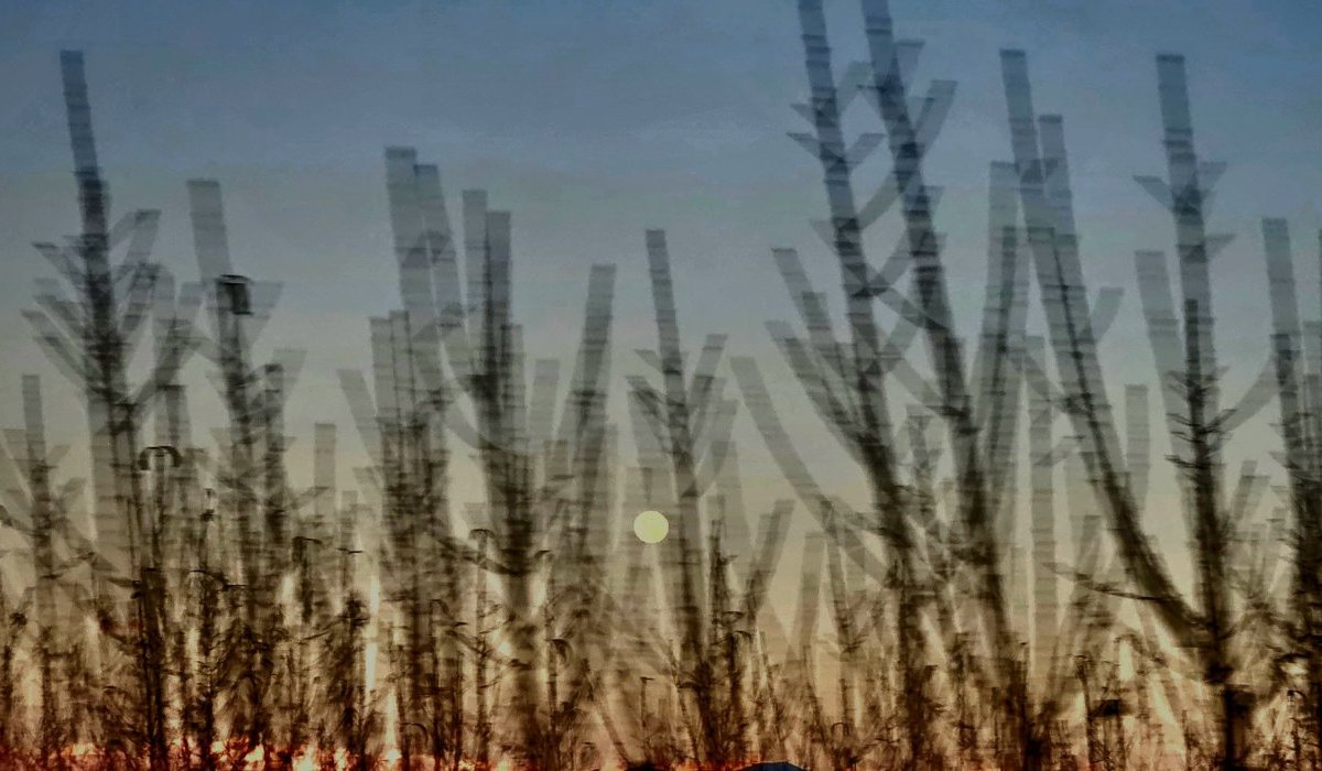 La fin justifie les moyens