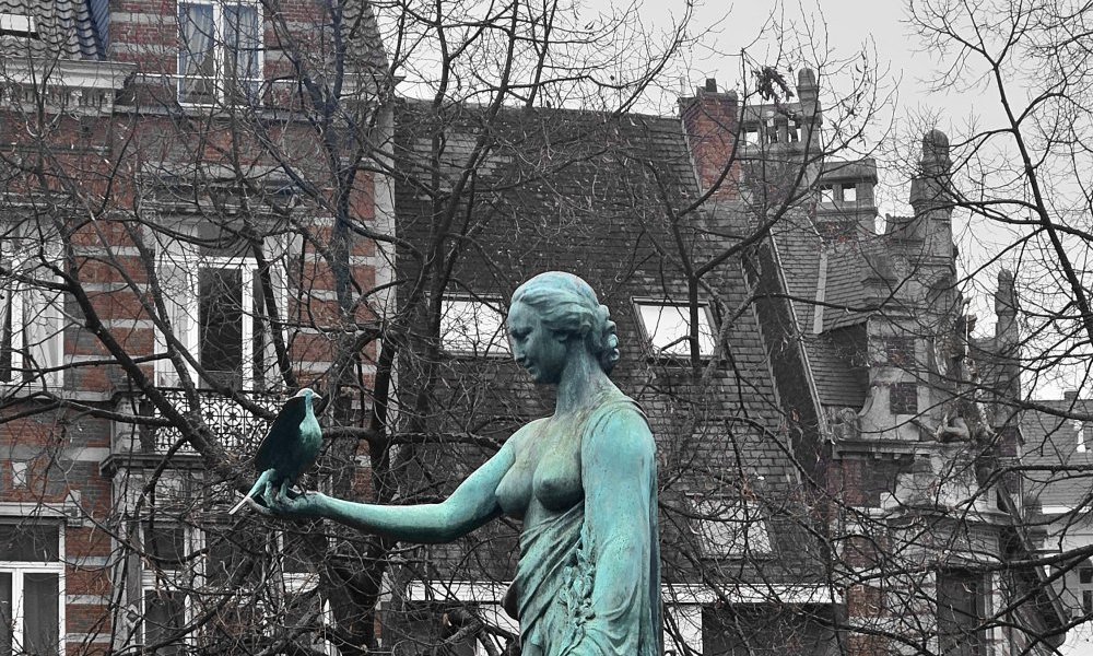 Tout a commencé par un rêve