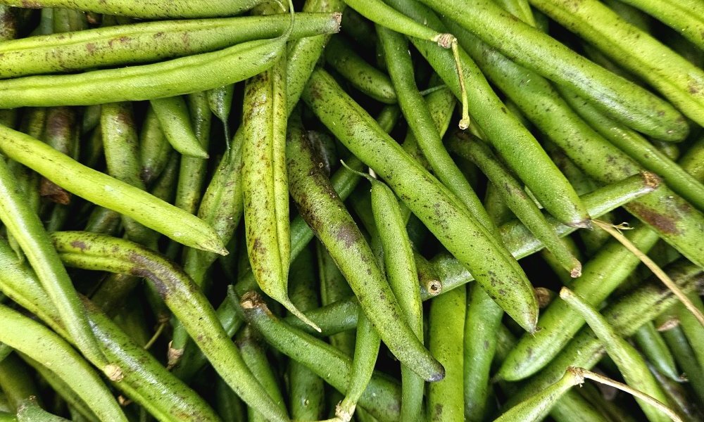 Eve, vers où versent ces vers verts ?