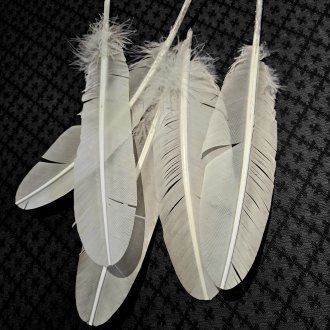 Ne pas avoir peur d'être en désaccord