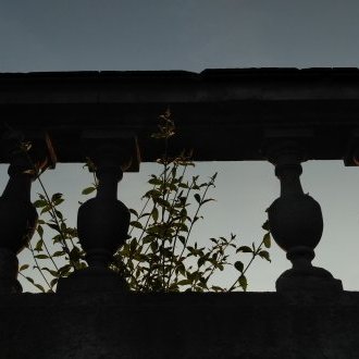 Naitre du hasard et mourir de l'habitude