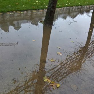 Complice voie navigable