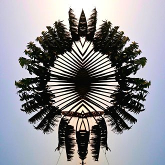 Capricieusement découpée comme une guipure