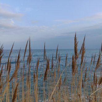 Seuls les poids plume soulèvent le ciel