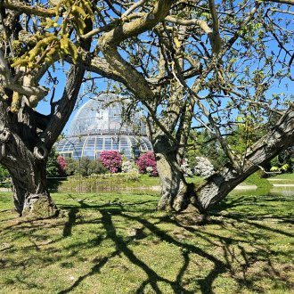 Surpensée (overthinking)