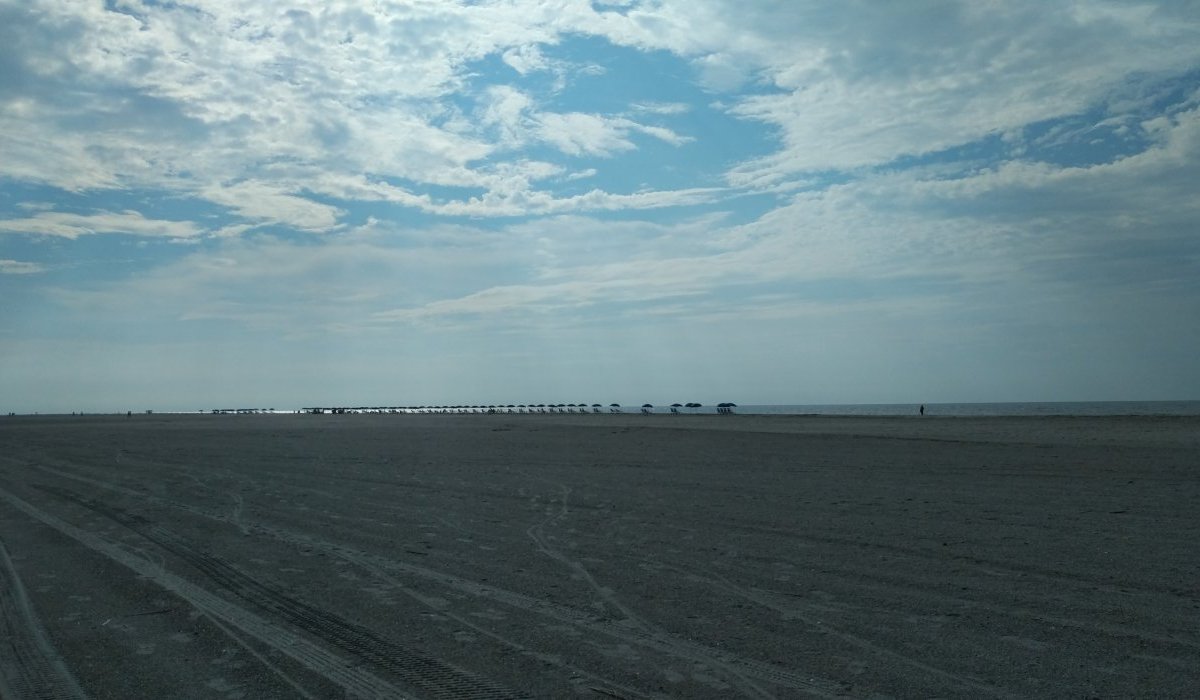 Céleste belle de jour