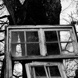 Se faire libre