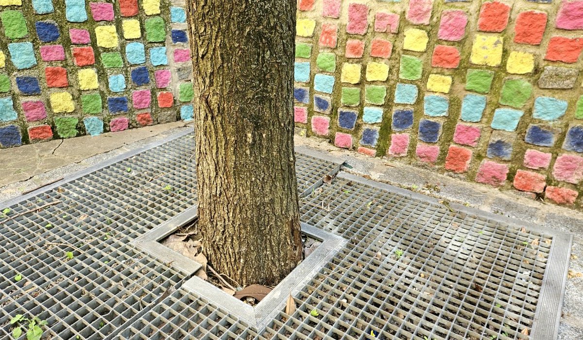 Croûte terrestre