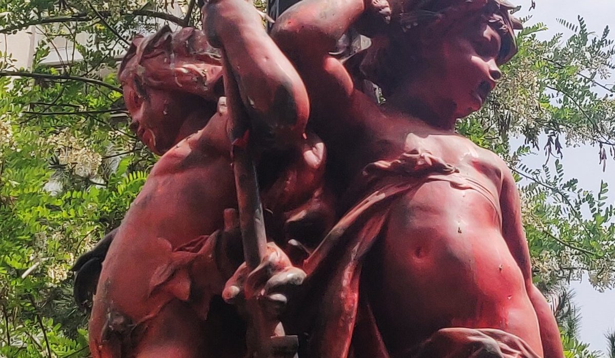 De gros bébés roses et mafflus