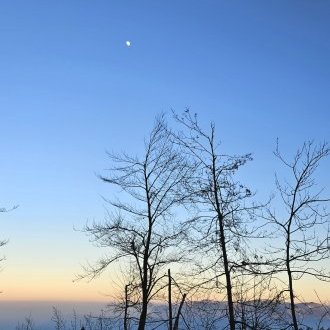 Pour se retrouver, il faut parfois s'égarer