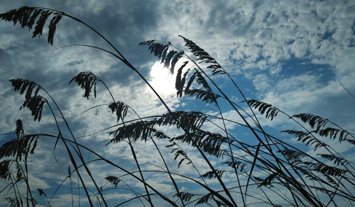 Vagabondage interieur