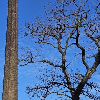 Se raidir de déplaisir